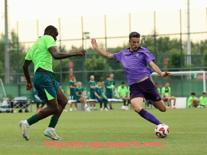 江南体育APP下载-火箭队打球风格点评及赛场表现争议分析